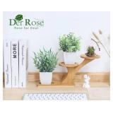Der Rose 2 Pack Small Fake Plants Artificial Greenery Eucalyptus Plants in Pots for Bedroom Living Room Decor