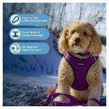 Best Pet Supplies Voyager Step-in Air Harness - All Weather Mesh, Reflective, No Pull Harness for Dogs, Cats - Secure with Hook and Loop Fastener, Buckle, Double D-Rings - PurpleBlack Trim, S