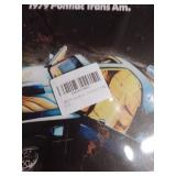 1979 Pontiac Trans Am Original wall decor