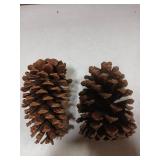 Large Pine Cones 6pcs