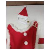 Christmas Pet Santa Outfit