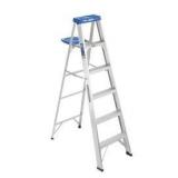 Werner 6  Type I Aluminum Step Ladder 366