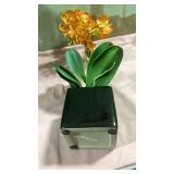 Orange Orchid in Black Ceramic Pot