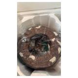 Dept 56 Dickens Village The Old Globe Theatre lighted