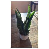 Snake Plant in Modern Gray Ceramic Pot (Faux) - Retail: $25