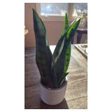 Snake Plant in Modern Gray Ceramic Pot (Faux) - Retail: $25