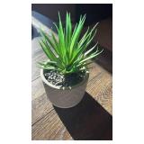 Artificial Agave Plant in Decorative Gray Pot - Retail: $15