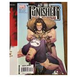 The Punisher, No Sleeves