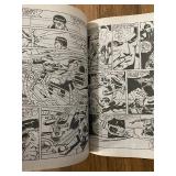 Essential, The Punisher, Volume 1