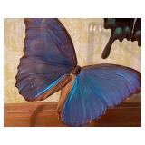 Butterfly Display From Hawaii and Small Metal Decor