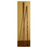 Walking Sticks, Largest is Over 5