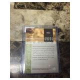 2001 Upper Deck Tiger