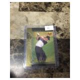 2001 Upper Deck Tiger