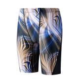 Eteoepo Boys Swim Jammers - Youth Kids Competitive Swim Team Suit Athletic Swimming Shorts Swimsuit UPF 50+(Black/Curve,XL)