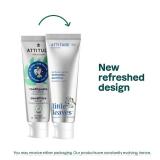 ATTITUDE Toothpaste with Fluoride, Prevents Tooth Decay and Cavities, Vegan, Cruelty-Free and Sugar-Free, Blueberry, 4.2 Oz