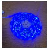 Govee RGBIC Pro 24.6