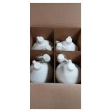 Ecolab Professional Hand Sanitizer Case