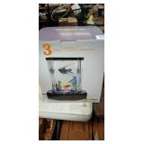 Something Fishy 3 Gallon Complete Aquarium Kit
