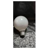 White Glass Flood Light Bulbs