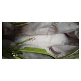 Michael Kors Lime Green Jet Set Tote