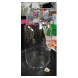 Clear Glass Display Dome with Base