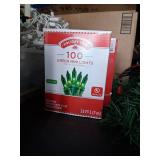 Holiday Time 100 LED Multicolor Mini Lights