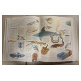 The Kingfisher Visual Factfinder Encyclopedia