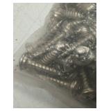 Stainless Steel Phillips Drive Sheet Metal Screws