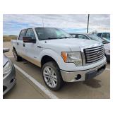 2011 FORD F-150 PLATINUM SUPERCREW 6.5-FT. BED 2WD