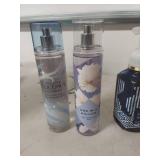 Bath & Body Works Collection Bundle