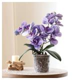 TRUEDAYS Orchid Pot 4 Pack 6 Inch Clear Orchid Pots with Drainage Holes for Repotting Ideal for Healthy Root Growth Sturdy Plastic Plant Pot for Indoor & Outdoor Plants