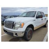 2011 FORD F-150 PLATINUM SUPERCREW 6.5-FT. BED 2WD