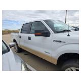 2011 FORD F-150 PLATINUM SUPERCREW 6.5-FT. BED 2WD