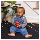 Baby Einstein Roxys Bright Flight Musical Baby Toy & Teether, Plays Real Bird Sounds with 10+ Melodies, Multisensory, Ages 3 Months and Up