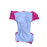 Night time Washable Cloth Pull up Diapers for Toddlers and preschoolers, Ages 2 Years to 6 Years (Pink, Large (4-6 Years))