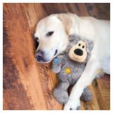 KONG Wild Knots Bear and Signature Balls (2 Pack) - Soft Bear Chew Toy with Rope Interior - Durable Dog Balls for Fetch - for Small Dogs