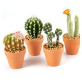 Oairse Mini Artificial Cactus Plants in Terracotta Pots 4 Pcs Potted Faux Succulents in Pots Fake Potted Plants Cactus Decor Small Artificial Plants for Home Decor Indoor Office Desk Tabletop Shelf