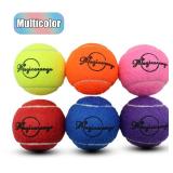 Magicorange Tennis Balls, 30 Pack Advanced Training Tennis Balls Practice Ball, Pet Dog Playing Balls,Good for Beginner Training Ball