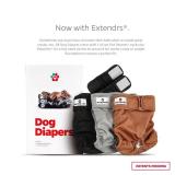 Pet Parents® Washable Dog Diapers (3pack)  Extendrs® of Durable Doggie Diapers, Premium Dog Diapers Female (Small, Natural)