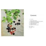 Tiny Space Gardening: Growing Vegetables, Fruits, and Herbs in Small Outdoor Spaces (with Recipes)