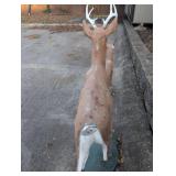 Union Products Deer Family Set