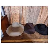 Classic Western Fedora Collection