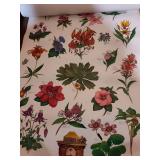 Smokey Bear Forest Education Poster Set