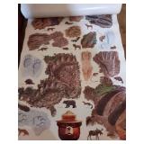 Smokey Bear Forest Conservation Educational Posters