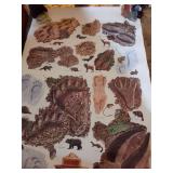 Smokey Bear Forest Conservation Educational Posters