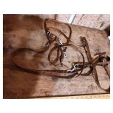 Brown Nylon Horse Training Reins