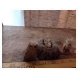 Miniature Owl Figurine Collection