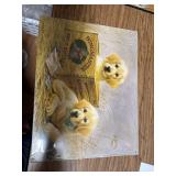 Tin Signs Kaatz -Wingmasters 1201