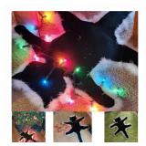 Light Up Fried Cat Rug Funny Aunt Bethanys Fried Pussycat Rug from National Lampoons Humour Christmas Vacation Decoration Carpet, Perfect White Elephant Gift for Family Friends (Color Lights)