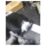 Light Up Fried Cat Rug Funny Aunt Bethanys Fried Pussycat Rug from National Lampoons Humour Christmas Vacation Decoration Carpet, Perfect White Elephant Gift for Family Friends (Color Lights)